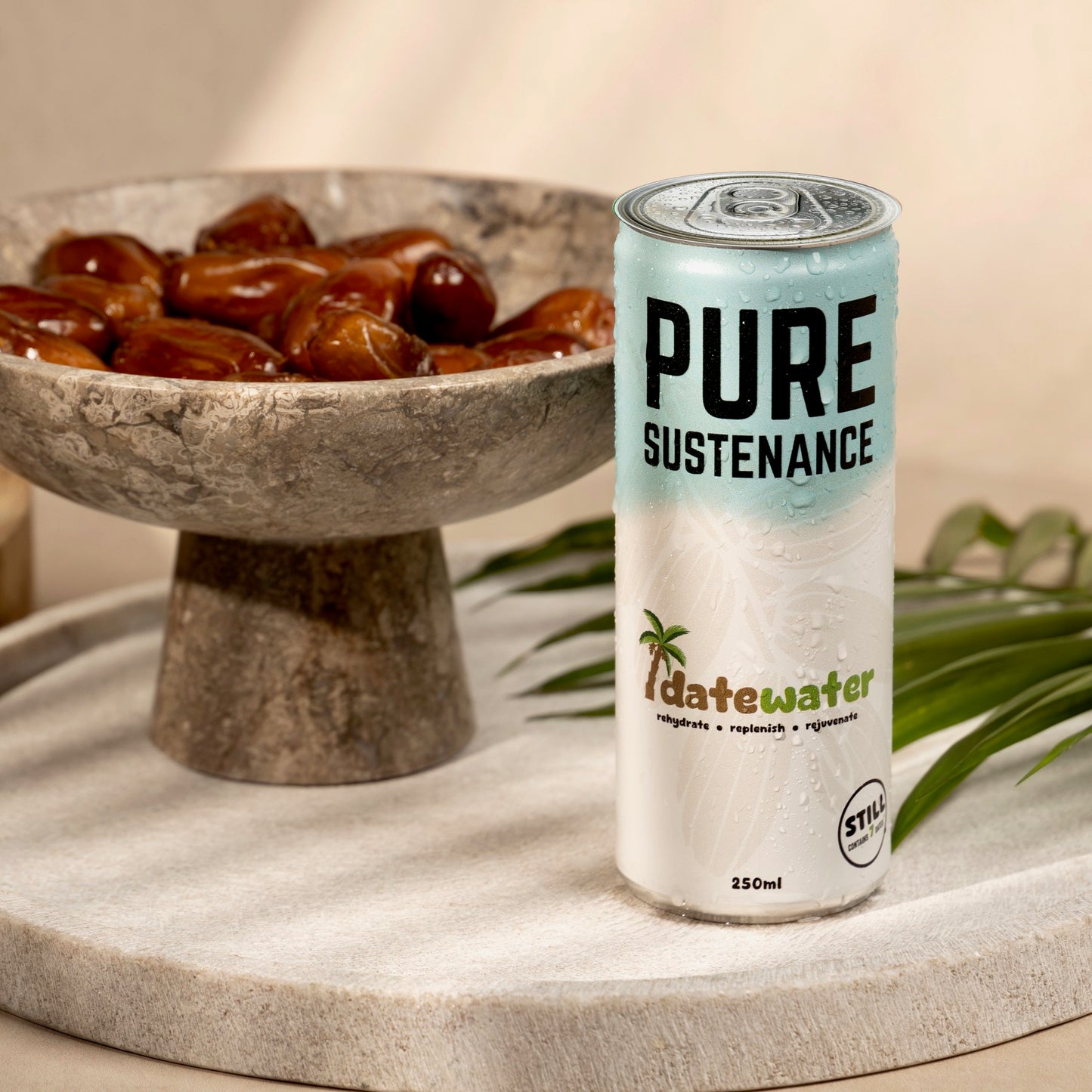 DATEWATER (6 Pack)